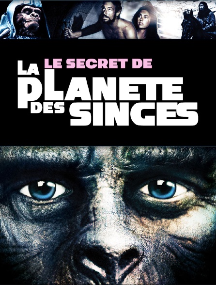 Le secret de la planète des singes
