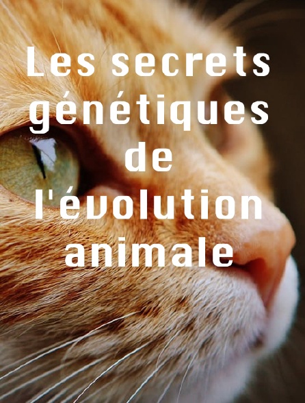 Les secrets génétiques de l'évolution animale