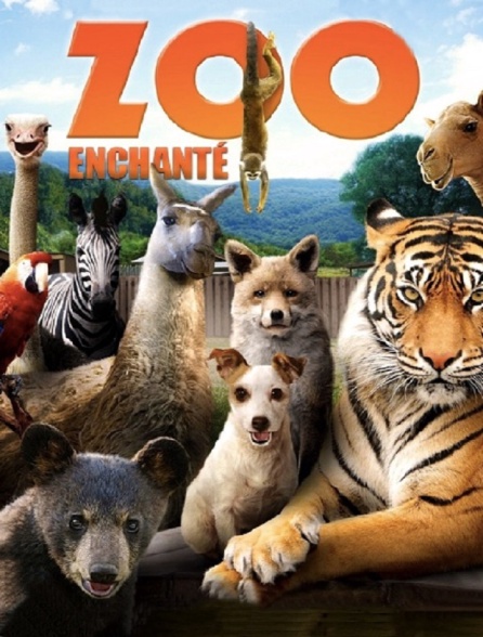 Le zoo enchanté