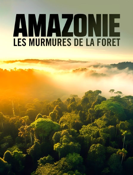 Amazonie : les murmures de la forêt