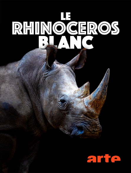 Arte - Le rhinocéros blanc : une aventure familiale au cœur de l'Afrique