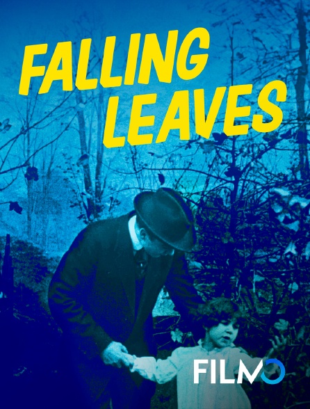 FilmoTV - Falling leaves