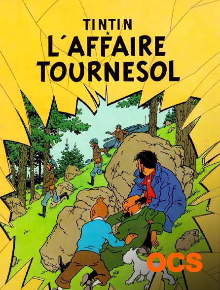 OCS - Tintin, l'affaire tournesol