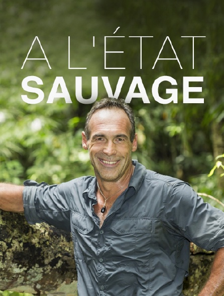 A l'état sauvage