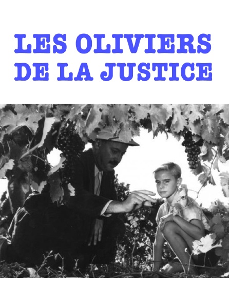 Les oliviers de la justice