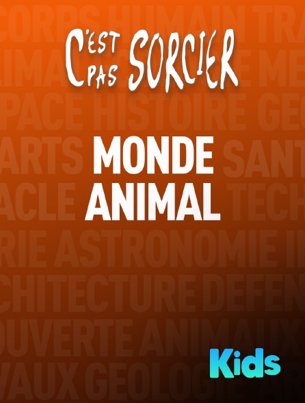 Molotov Channels Kids - C'est pas sorcier : Monde animal