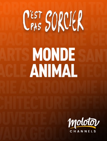 Mango - C'est pas sorcier : Monde animal