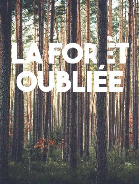 La forêt oubliée