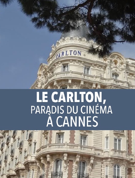 Le Carlton, paradis du cinéma à Cannes