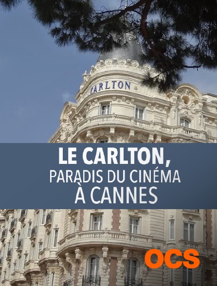 OCS - Le Carlton, paradis du cinéma à Cannes