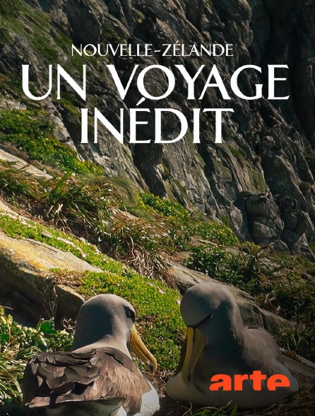 Arte - Nouvelle-Zélande, embarquement pour un voyage inédit en replay