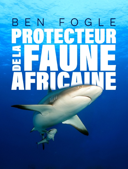 Ben Fogle, protecteur de la faune africaine