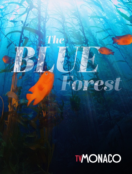 TV Monaco - The Blue Forest