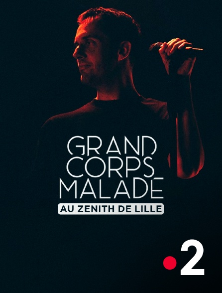 France 2 - Grand Corps Malade au Zénith de Lille