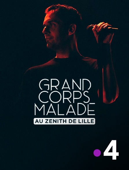 France 4 - Grand Corps Malade au Zénith de Lille