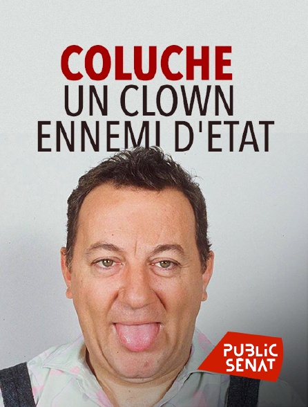 Public Sénat - Coluche : un clown ennemi d'Etat