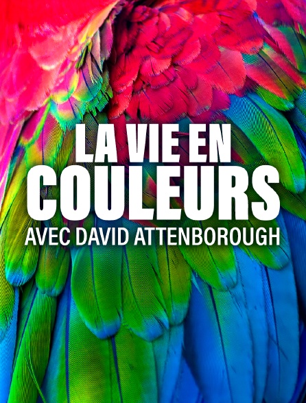 La vie en couleurs avec David Attenborough