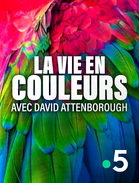 France 5 - La vie en couleurs avec David Attenborough