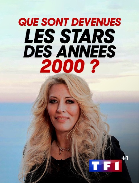 TF1 +1 - Que sont devenues les stars des années 2000 ?