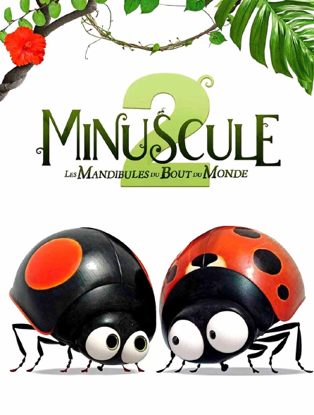 Minuscule 2 : Les mandibules du bout du monde