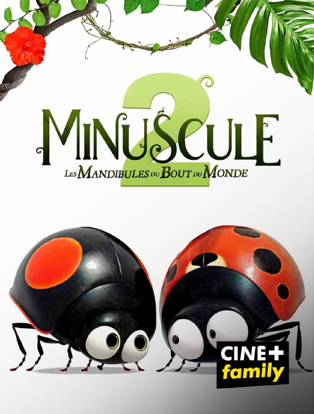 CINE+ Family - Minuscule 2 : Les mandibules du bout du monde