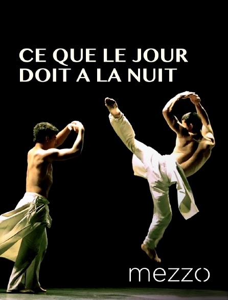 Mezzo - Ce que le jour doit à la nuit d'Hervé Koubi