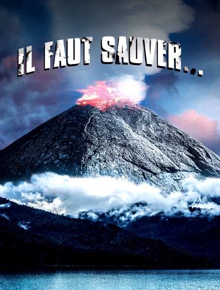 Il faut sauver...