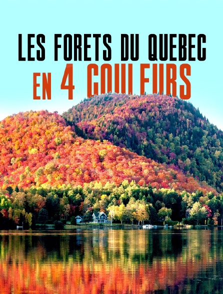Les forêts du Québec en 4 couleurs