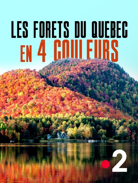France 2 - Les forêts du Québec en 4 couleurs