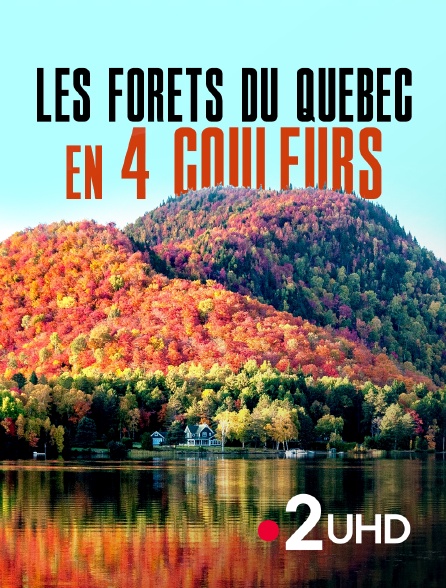 France 2 UHD - Les forêts du Québec en 4 couleurs