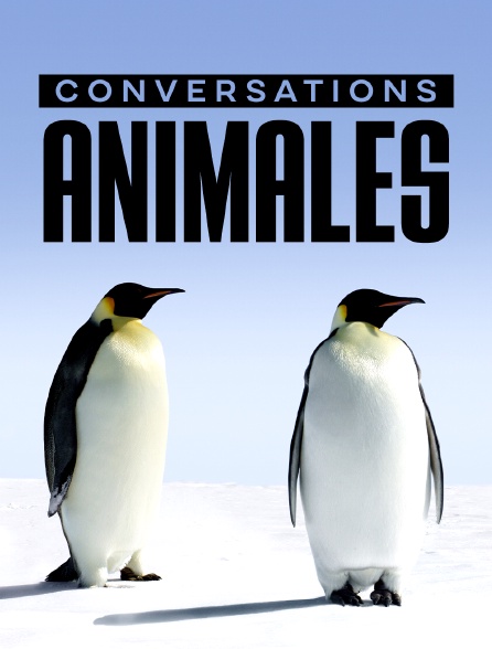 Conversations animales