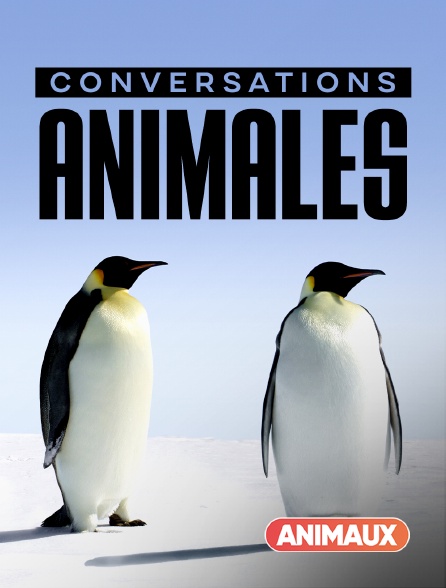 Animaux - Conversations animales