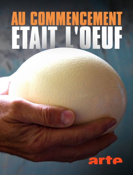 Arte - Au commencement était l'oeuf : les animaux ovipares