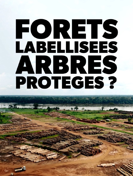 Forêts labellisées, arbres protégés ?