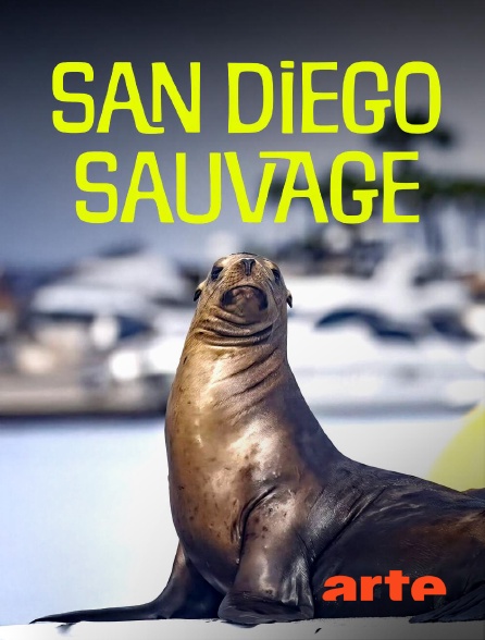 Arte - San Diego sauvage
