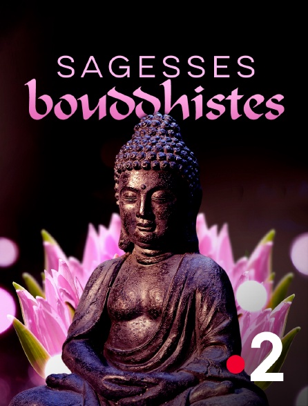 France 2 - Sagesses bouddhistes