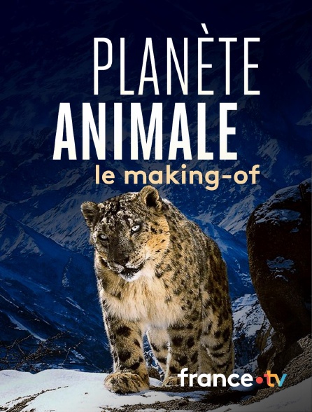 france.tv - Planète animale, Making of en replay