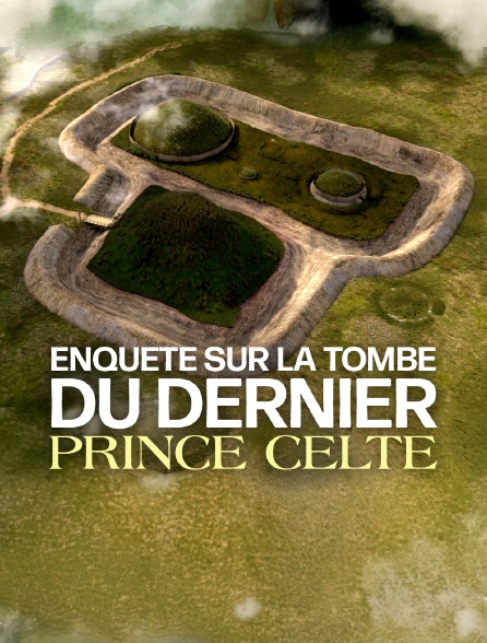 Enquête sur la tombe du dernier prince celte