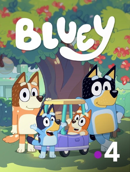 France 4 - Bluey