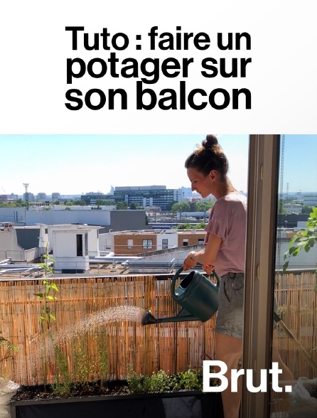 Brut - Tuto : faire un potager sur son balcon