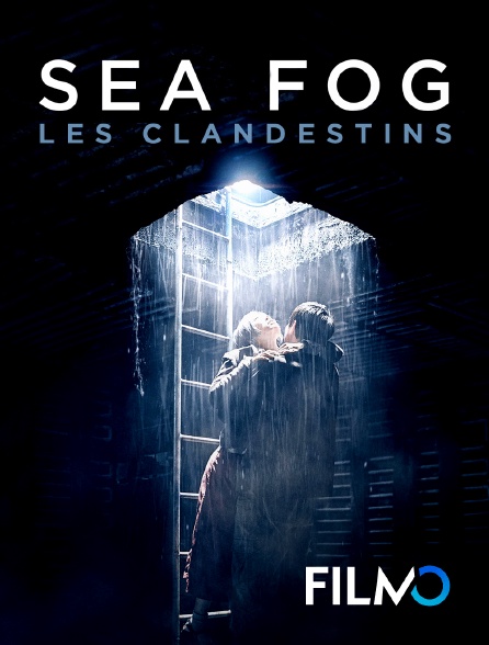 FilmoTV - Sea fog : les clandestins