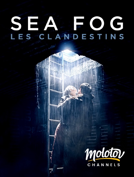 Molotov Channels - Sea fog : les clandestins