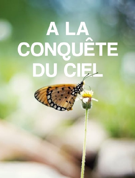 A la conquête du ciel