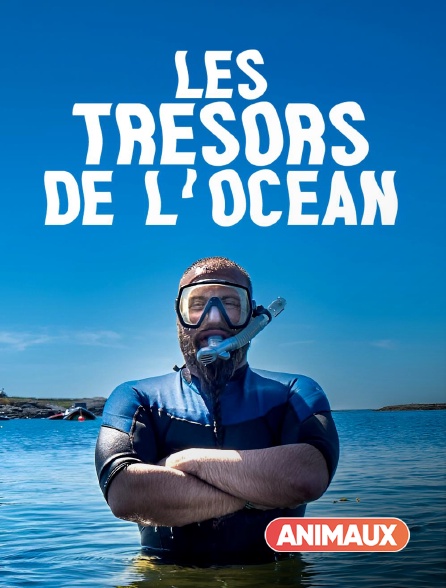 Animaux - Les trésors de l'océan