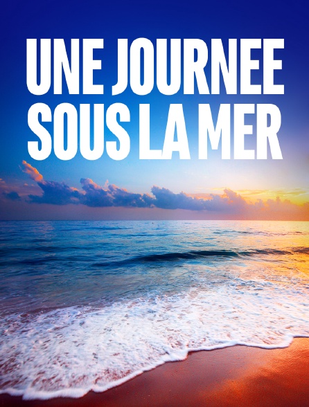 Journée sous la mer