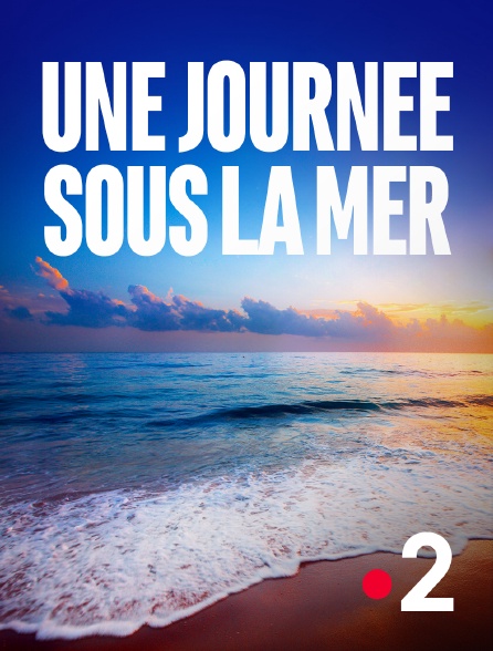 France 2 - Journée sous la mer