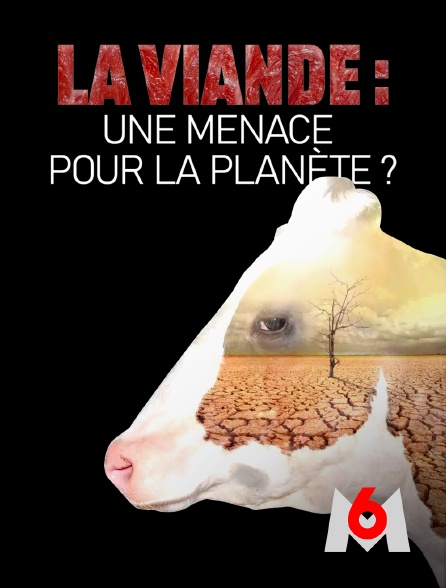 M6 - La viande : une menace pour la planète ?