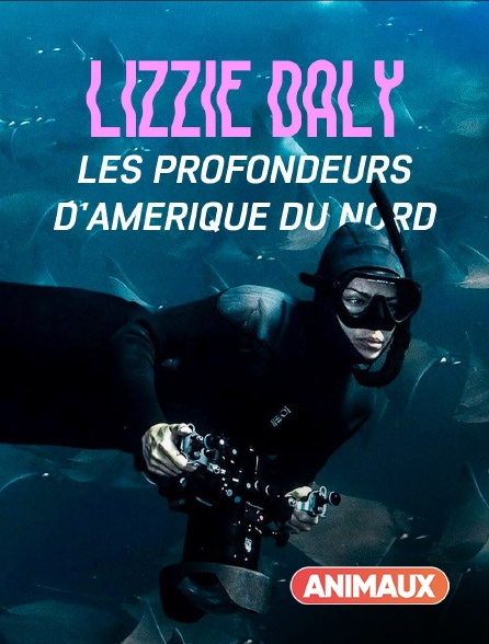 Animaux - Lizzie Daly, les profondeurs d'Amérique du Nord