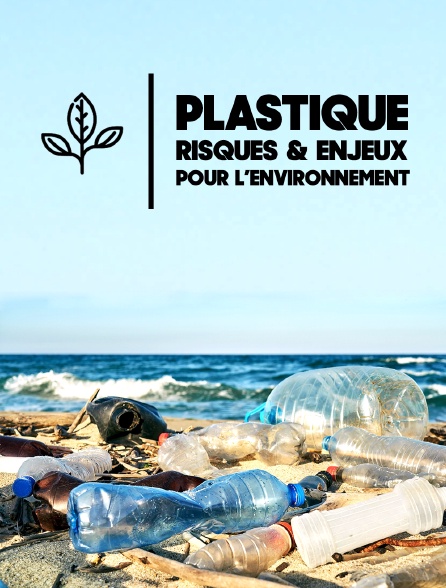 Plastique : risques et enjeux pour l'environnement