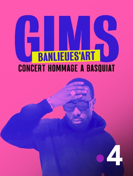 France 4 - Gims hommage à Basquiat : Banlieues'art